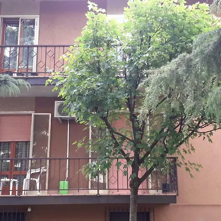 Il Mondo Di Ross Verona