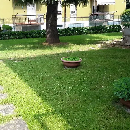 Il Mondo Di Ross