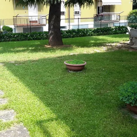 Il Di Ross